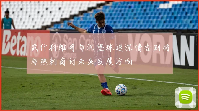 武什科维奇与汉堡球迷深情告别将与热刺商讨未来发展方向