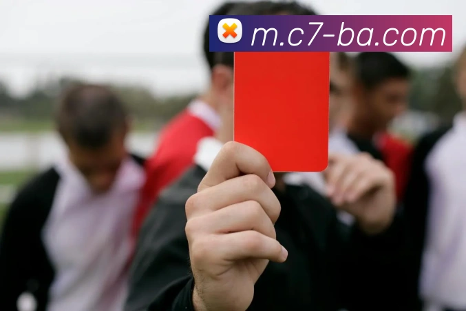 App 展示图